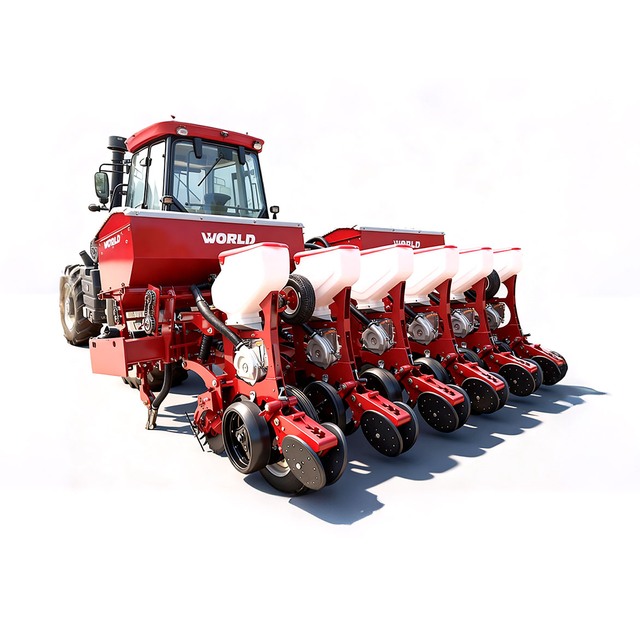 เมล็ดดอกริลิส